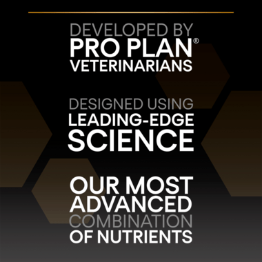 Purina Pro Plan Puppy Large Robust Healthy Start Chicken Vivapets