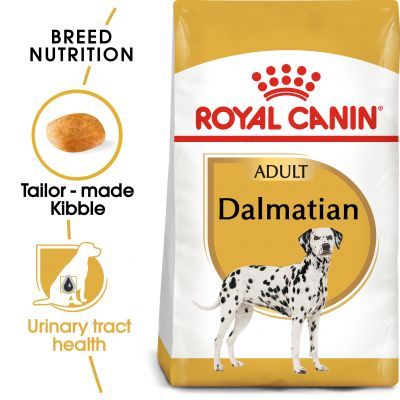 Royal canin dalmatian outlet