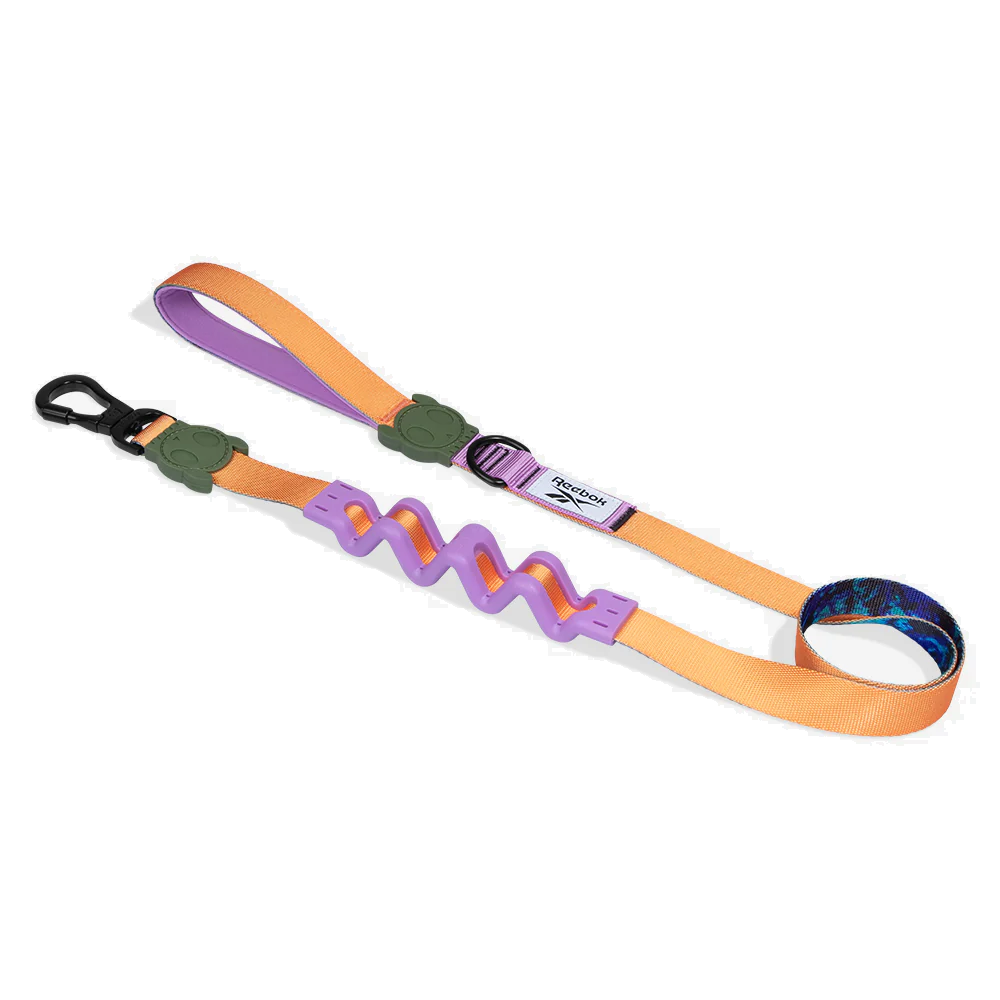 Zee.Dog Reebok Trekk Ruff Leash - Shop at Vivapets