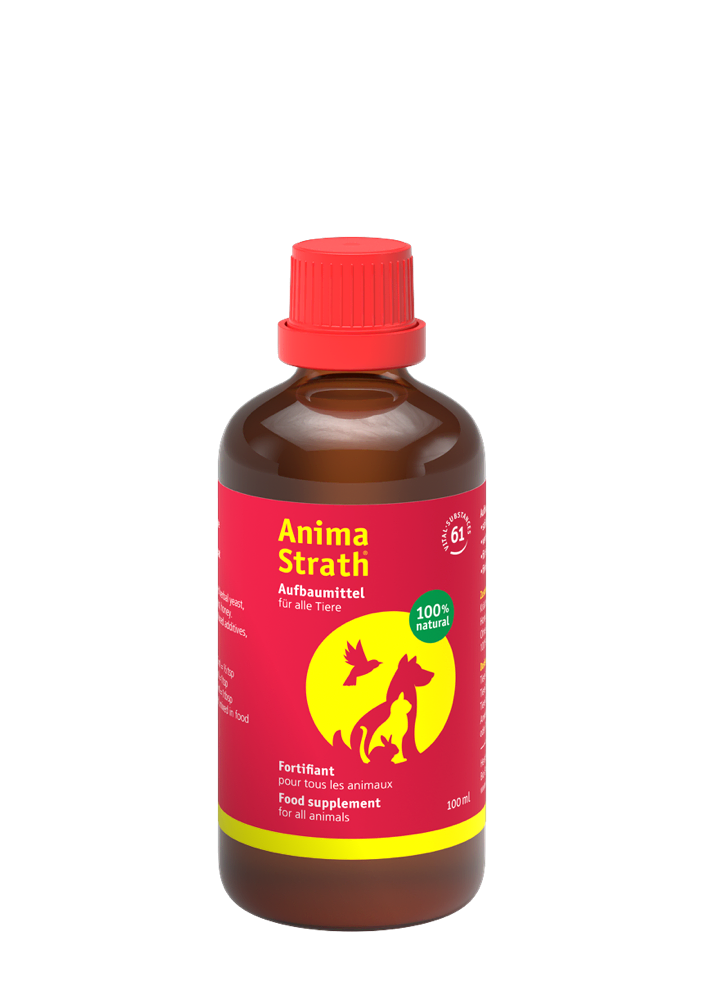 Anima-Strath - Shop Online at Vivapets