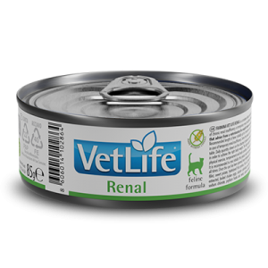 381_04_vetlife-renal-85g.png