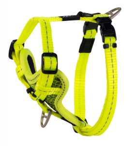 Rogz Control Harness Dayglo