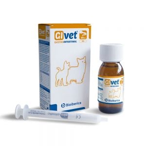 Bioiberica Givet Get Protetor Gástrico 60 ml