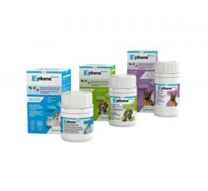 Zylkene Plus 30 Tablets