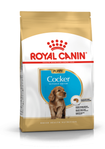 Royal Canin Maxi Puppy - Shop Now at Vivapets!